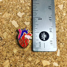 Load image into Gallery viewer, Anatomical Heart Mini Enamel Pin
